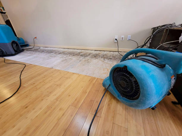 Reliable Basement Flood Cleanup contractor in Marble Falls, TX by Hirex Water Damage