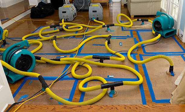 Professional Basement Flood Cleanup technician working in Marble Falls, TX